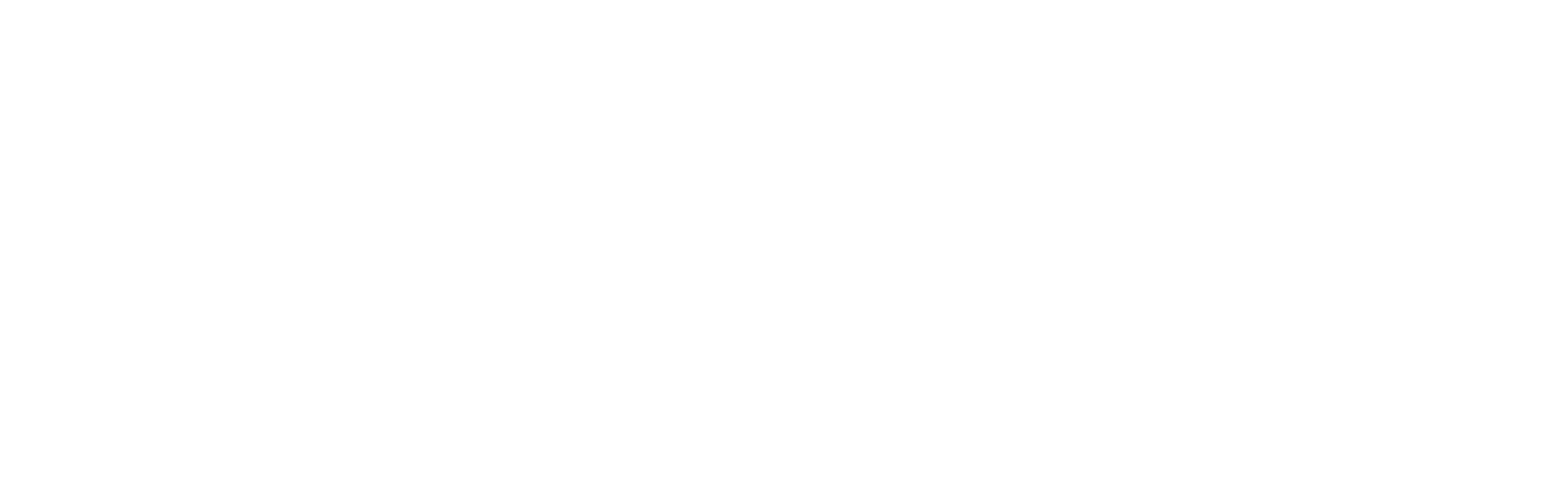 RD Holster